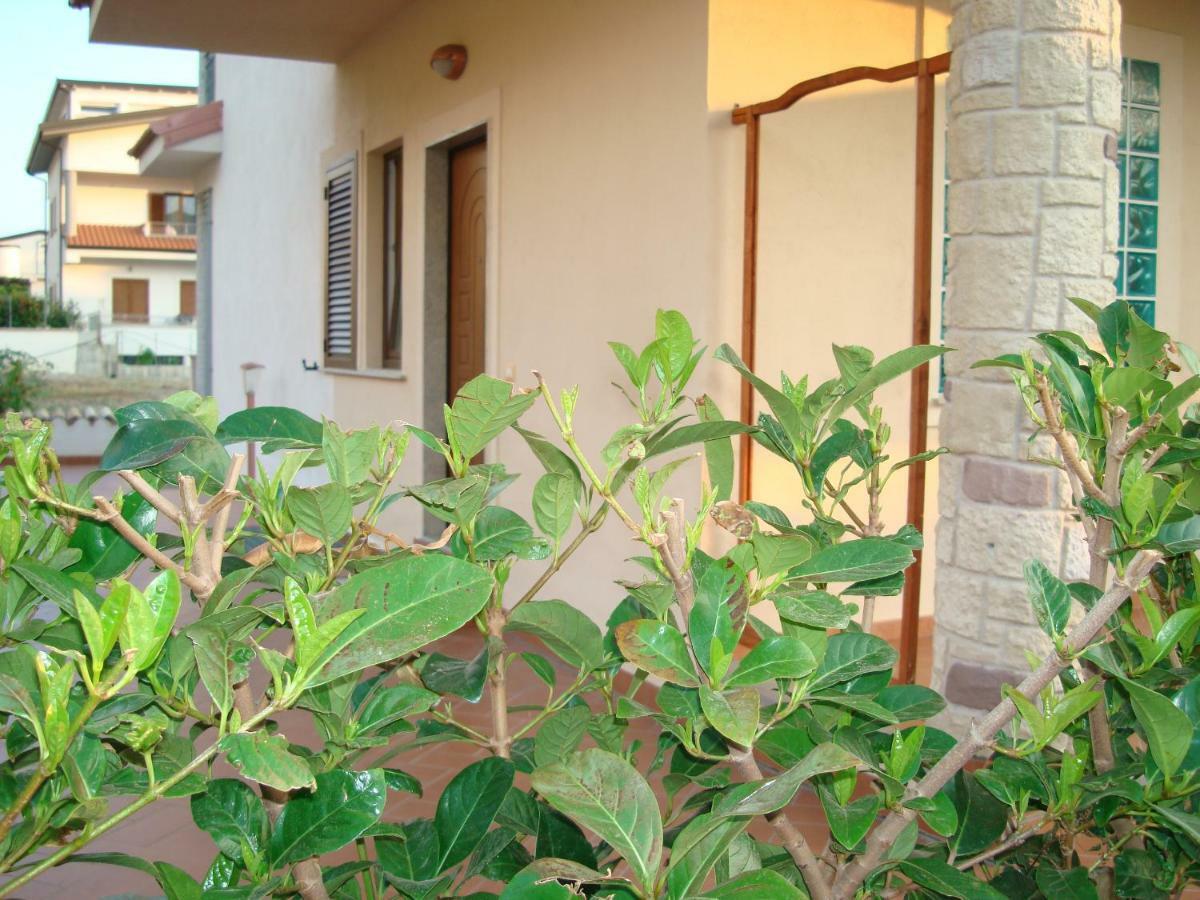 Guest House Mare E Luna Fiumefreddo Bruzio Exterior photo